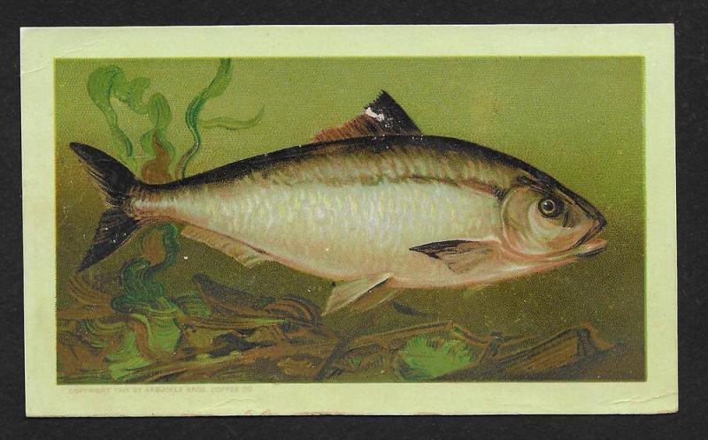 VICTORIAN TRADE CARD Arbuckle's Ariosa Coffee Shad Cooking