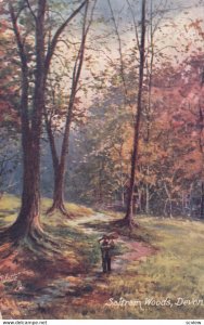 Saltrain Woods, Devon, England, 1910; TUCK 7834