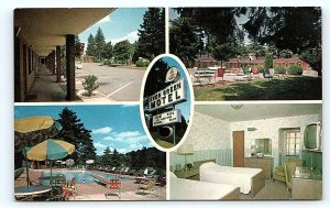 ASHEVILLE, NC North Carolina ~ EVER GREEN MOTEL Pool c1960s Roadside Postcard