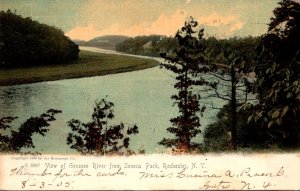 New York Rochester View Of Genesee River From Seneca Park 1905 Rotograph