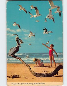 Postcard Feeding the Sea Gulls along Florida's Coast, Florida