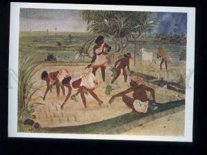 180188 INDIA Transplanting rice by Banerjee old postcard