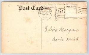 Ionia MI Native Felix Flynn~1914 Wexfod Co Clerk Ad~Cadlliac Mayor~State Senator 