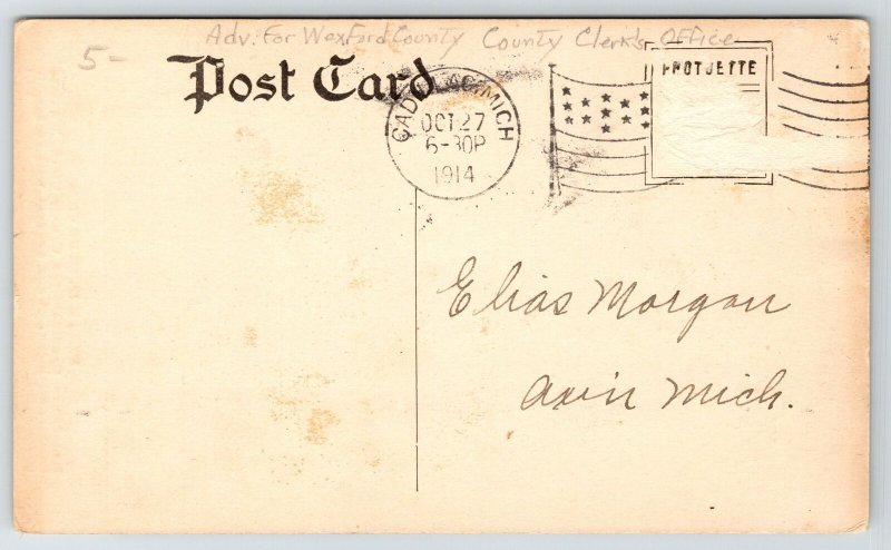 Ionia MI Native Felix Flynn~1914 Wexfod Co Clerk Ad~Cadlliac Mayor~State Senator 