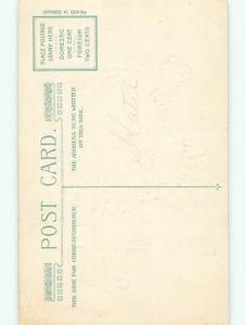 Divided-Back ST. PATRICK'S DAY SCENE Great Postcard W8241