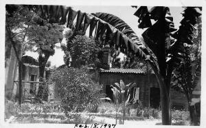 Cuernavaca Morelos Mexico birds eye view garden and ruins? real photo pc Y12028