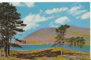 Scotland Postcard - Loch Droma - Ross & Cromarty - Ref TZ3890