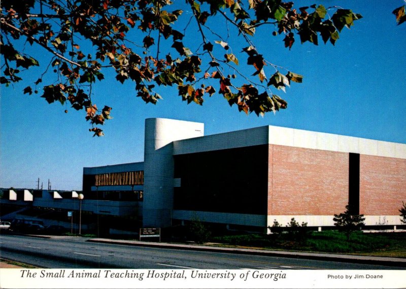 Georgia Athens The Small Animal Teaching Hospital University Of Georgia