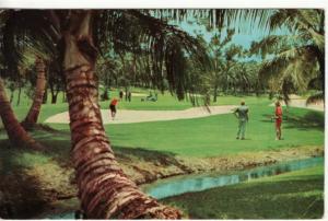 PUERTO RICO   DORADO BEACH GOLF COURSE postcard