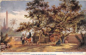 Lot176 germany the mary tree from heliopolis J F Perlberg artist signed postcard