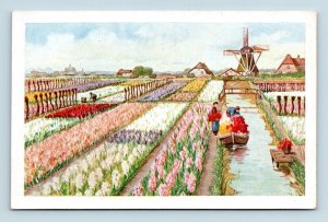 Artist View Tulip Field and Windmill UNP Unused WB Postcard L2