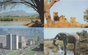 Johannesburg South Africa 4x S&R SAR Travel Bureau Advertising Postcard s