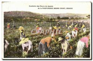 Old Postcard Picking jasmine flowers Parfumerie Bruno Court Grasse