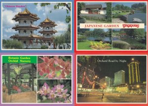 Singapore Japanese Chinese Botanic Gardens 4x Postcard s