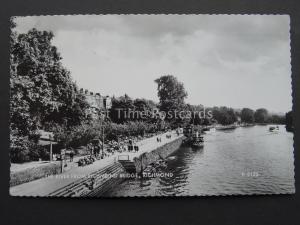 Richmond upon Thames RIVER FROM RICHMOND BRIDGE c1960's RP Postcard by Valentine