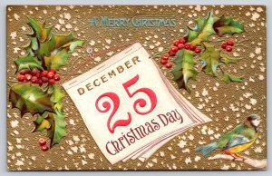 Christmas Day~December 25 Cal Pg~Blue Bird~Snowy Gold Bk~c1910 Vintage Postcard