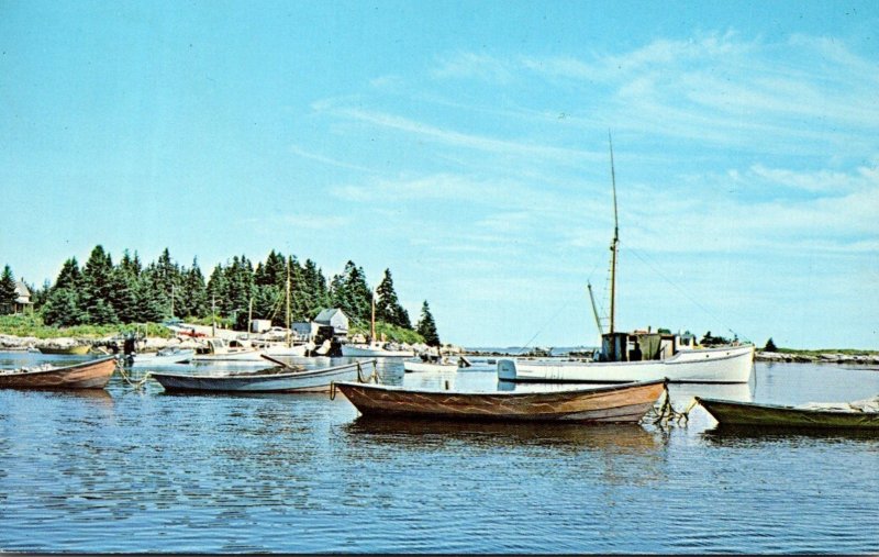 Maine Boothbay Harbor Herring Seining Dories and Workboats 1964