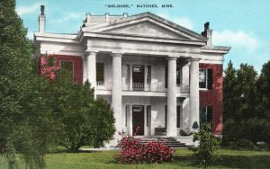 Vintage Postcard 1930's Melrose Mansion House Natchez Mississippi MS Structure