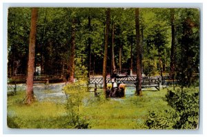 1914 Mush Park In The Adirondack Mts. Sacandaga New York NY Antique Postcard 