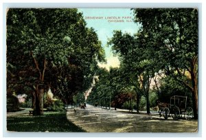 1908 A View Of Driveway Lincoln Park Chicago Illinois IL Antique Postcard