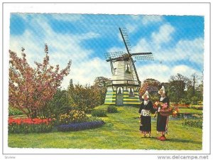 Windmill , 50-70s ; Bloemenland / Holland