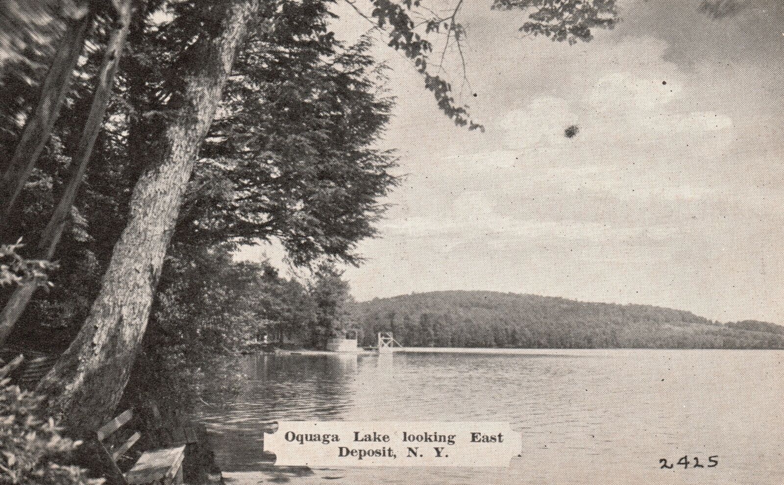 Vintage Postcard 1930's Oquaga Lake Looking East Deposit New York Smith