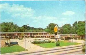 Quality Inn Town House U.S. 82, Albany, Georgia, GA, Chrome