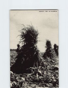 Postcard Harvest Time In Wisconsin