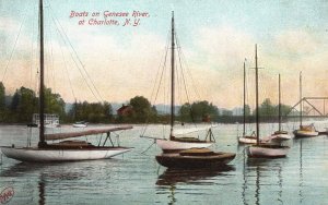 Vintage Postcard View Of Sailing Boats On Genesee River At Charlotte New York NY