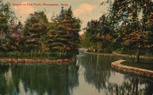 Vintage Postcard 1912 Scene in Elm Park Lake Forest Worcester Massachusetts MA