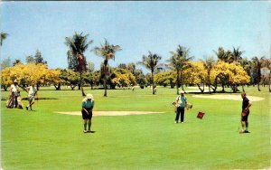 Hollywood, FL Florida HOLLYWOOD BEACH HOTEL & GOLF CLUB Golfers/Course Postcard