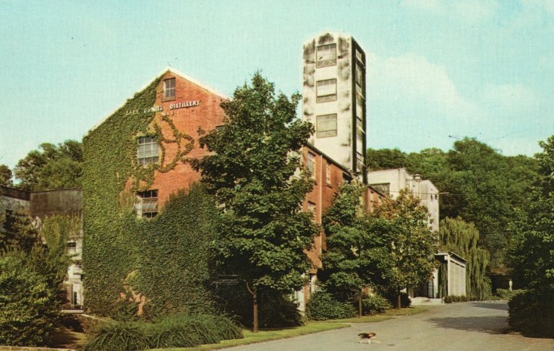 Postcard Jack Daniel's Hollow Statue Overlooking Distillery Lynchburg Tennessee 