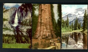 PX6c Cal. Union Oil Co. No. 30,39, 81 Park Sequoia-Mt. Rainier-Yosemite Falls