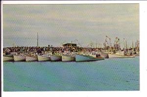 Celebrating the Blessing of the Fleet, Meteghan, Cape Breton, Nova Scotia