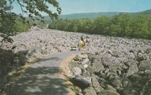 Famous Blue Rocks at Lenhartsville - Berks County PA, Pennsylvania