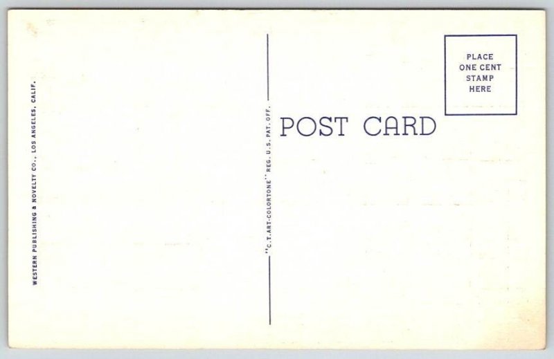 Winding Highway 99 through the Mountains California Postcard