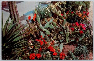 Phoenix Arizona 1962 Postcard Desert Botanical Gardens Papago Park