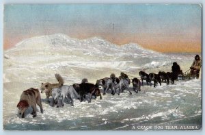 Prince Rupert BC Postcard A Crack Dog Team Alaska Winter Scene 1916 Antique