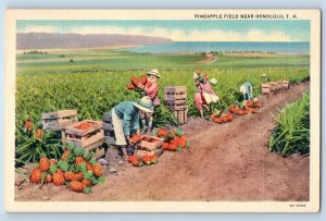 Honolulu Hawaii Hi Postcard Pineapple Field Exterior Field c1940 Vintage Antique