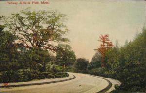Jamaica Plain MA Parkway c1910 Postcard