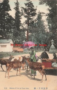 Japan, Nara, Swarm Of Deer, Park, No 5