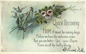 1927 Quick Recovery - Your Illness Gives us all the Bally Blues Vintage Postcard