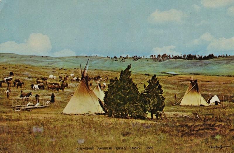 American Horse's Camp Cheyenne Reservation MT Montana 1889 Huffman Postcard D23