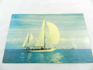 Vintage Postcard Smooth Sailing Boat Color Photo 1966 Sarasota FL H.W. Hannau