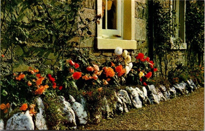 VINTAGE POSTCARD BEGONIAS AT LUSS VILLAGE LOCH LOMOND SCOTLAND