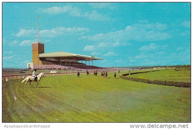 Horse Racing On The Turf Atlantic City Race Course New Jersey