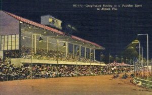 Greyhound Racing - Miami, Florida FL  