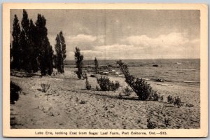 Postcard Port Colborne Ontario 1930s Lake Erie Looking East From Sugar Loaf Farm