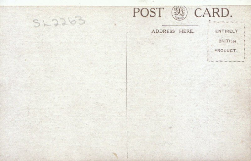 Sussex Postcard - Brighton from The Sea - Ref TZ3346