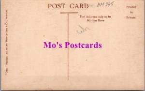 Devon Postcard - Donkeys on Clovelly High Street    HM245